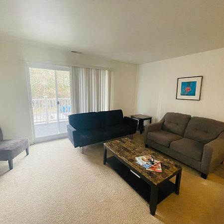 Large, Clean, Comfortable, 1Br Near Einstein Hos Elkins Park Exterior photo